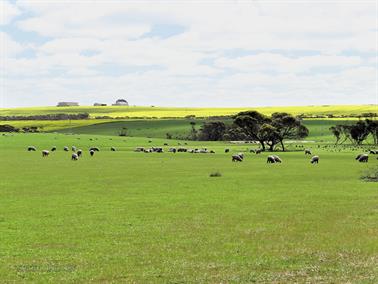 South Coast Highway, Ravensthorp, Western Australia